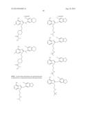 USES OF LABELED HSP90 INHIBITORS diagram and image