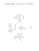 USES OF LABELED HSP90 INHIBITORS diagram and image