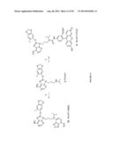 USES OF LABELED HSP90 INHIBITORS diagram and image