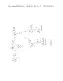 USES OF LABELED HSP90 INHIBITORS diagram and image