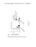 USES OF LABELED HSP90 INHIBITORS diagram and image