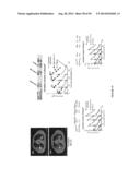 USES OF LABELED HSP90 INHIBITORS diagram and image