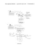 USES OF LABELED HSP90 INHIBITORS diagram and image