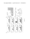 USES OF LABELED HSP90 INHIBITORS diagram and image