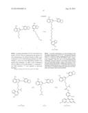 USES OF LABELED HSP90 INHIBITORS diagram and image