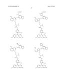 USES OF LABELED HSP90 INHIBITORS diagram and image