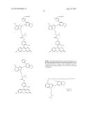 USES OF LABELED HSP90 INHIBITORS diagram and image