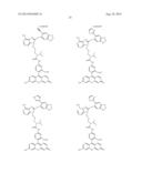 USES OF LABELED HSP90 INHIBITORS diagram and image