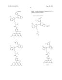 USES OF LABELED HSP90 INHIBITORS diagram and image