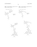 USES OF LABELED HSP90 INHIBITORS diagram and image