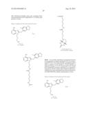 USES OF LABELED HSP90 INHIBITORS diagram and image