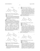 USES OF LABELED HSP90 INHIBITORS diagram and image