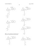 USES OF LABELED HSP90 INHIBITORS diagram and image