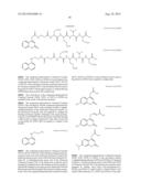 PROBE FOR iFRET AND USE THEREOF diagram and image