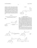 PROBE FOR iFRET AND USE THEREOF diagram and image