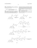 PROBE FOR iFRET AND USE THEREOF diagram and image