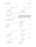 PROBE FOR iFRET AND USE THEREOF diagram and image