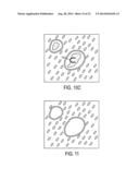 Laser Microdissection Method and Apparatus diagram and image