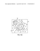 Laser Microdissection Method and Apparatus diagram and image