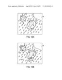 Laser Microdissection Method and Apparatus diagram and image