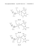 ENZYMATICALLY CATALYZED METHOD OF PREPARING MONO-ACYLATED POLYOLS diagram and image