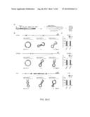 ENGINEERING OF SYSTEMS, METHODS AND OPTIMIZED GUIDE COMPOSITIONS FOR     SEQUENCE MANIPULATION diagram and image