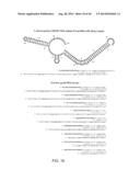 ENGINEERING OF SYSTEMS, METHODS AND OPTIMIZED GUIDE COMPOSITIONS FOR     SEQUENCE MANIPULATION diagram and image