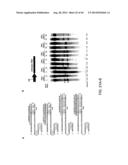 ENGINEERING OF SYSTEMS, METHODS AND OPTIMIZED GUIDE COMPOSITIONS FOR     SEQUENCE MANIPULATION diagram and image