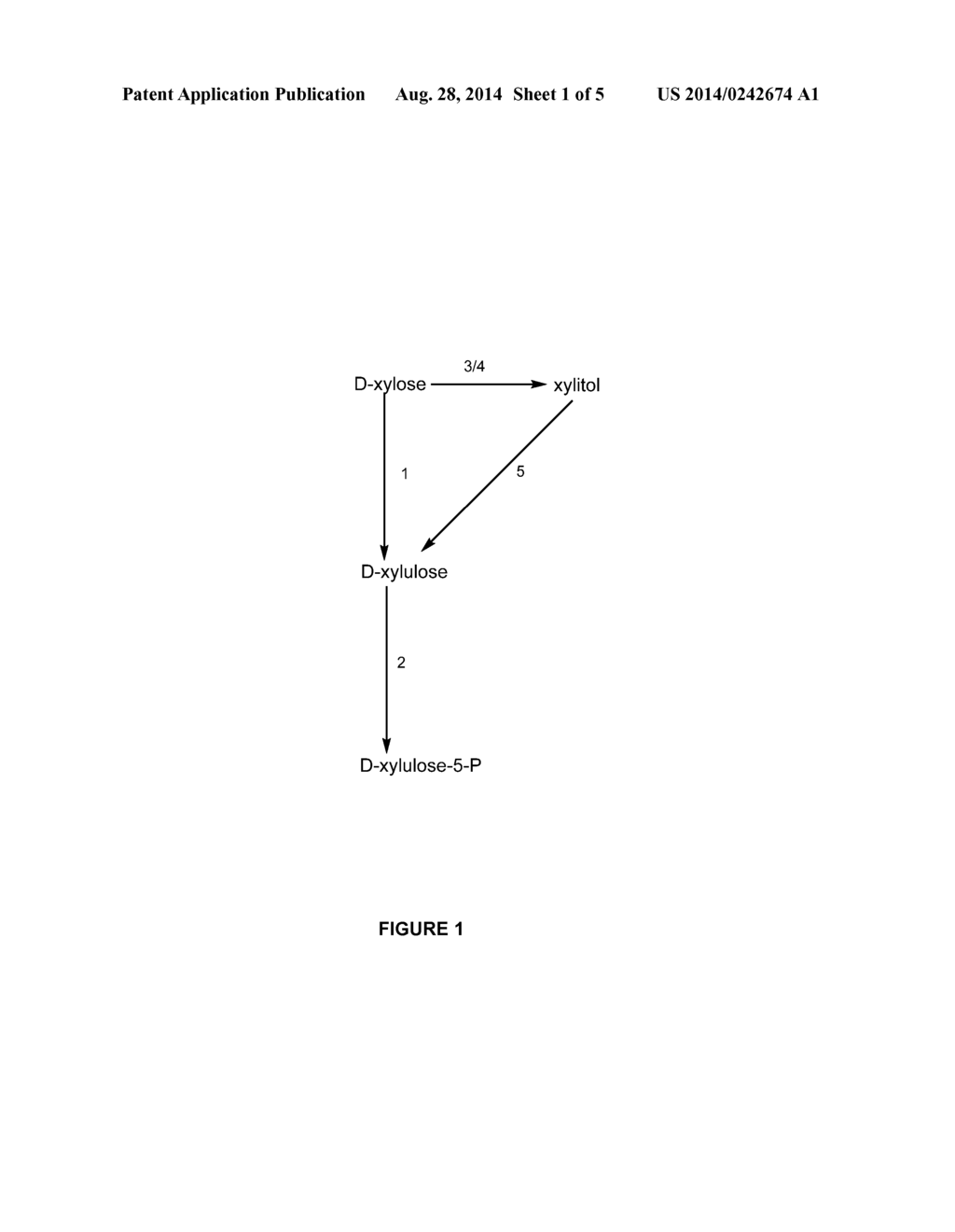 PENTOSE FERMENTATION BY A RECOMBINANT MICROORGANISM - diagram, schematic, and image 02