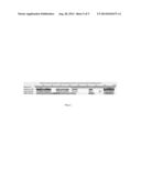 Monascus Purpureus Mutant, Nucleotide Sequence for Monascus Purpureus     Mutant and Primers for Nucleotide Sequence of Monascus Purpureus Mutant diagram and image