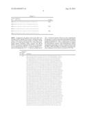 Monascus Purpureus Mutant, Nucleotide Sequence for Monascus Purpureus     Mutant and Primers for Nucleotide Sequence of Monascus Purpureus Mutant diagram and image