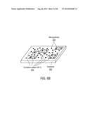 APPARATUS FOR SELECTIVE EXCITATION OF MICROPARTICLES diagram and image