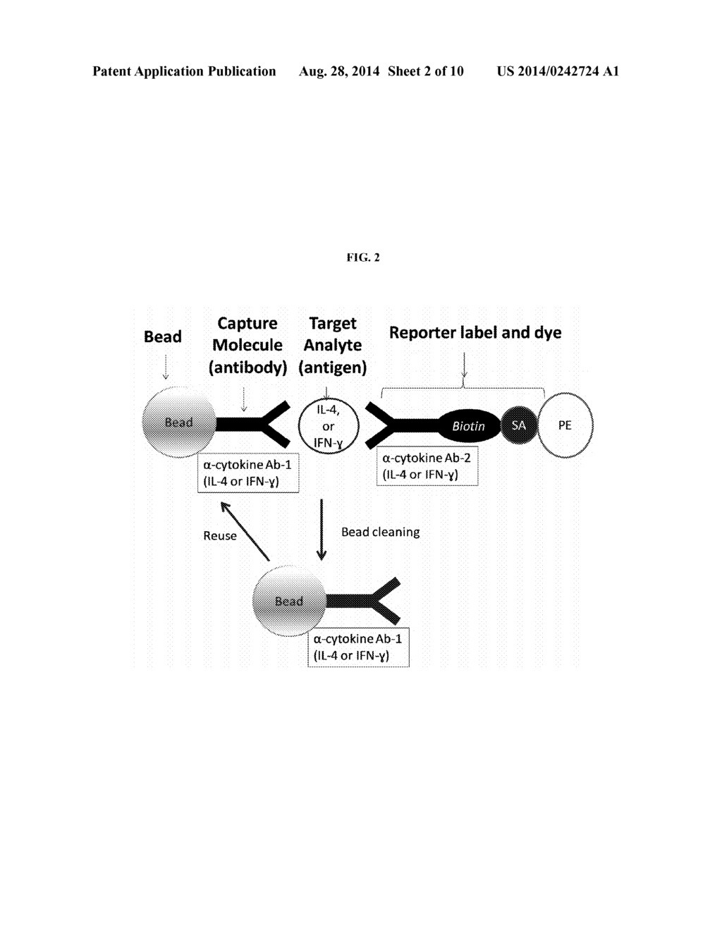 Methods and Compositions for the Efficient Reuse of Multiply Dyed     Particles - diagram, schematic, and image 03