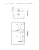 PURIFICATION OF IMMUNOGLOBULINS USING AFFINITY CHROMATOGRAPHY AND PEPTIDE     LIGANDS diagram and image