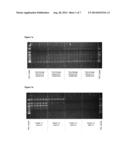 METHODS FOR SEPARATING NUCLEIC ACIDS BY SIZE diagram and image