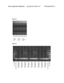 METHODS FOR SEPARATING NUCLEIC ACIDS BY SIZE diagram and image