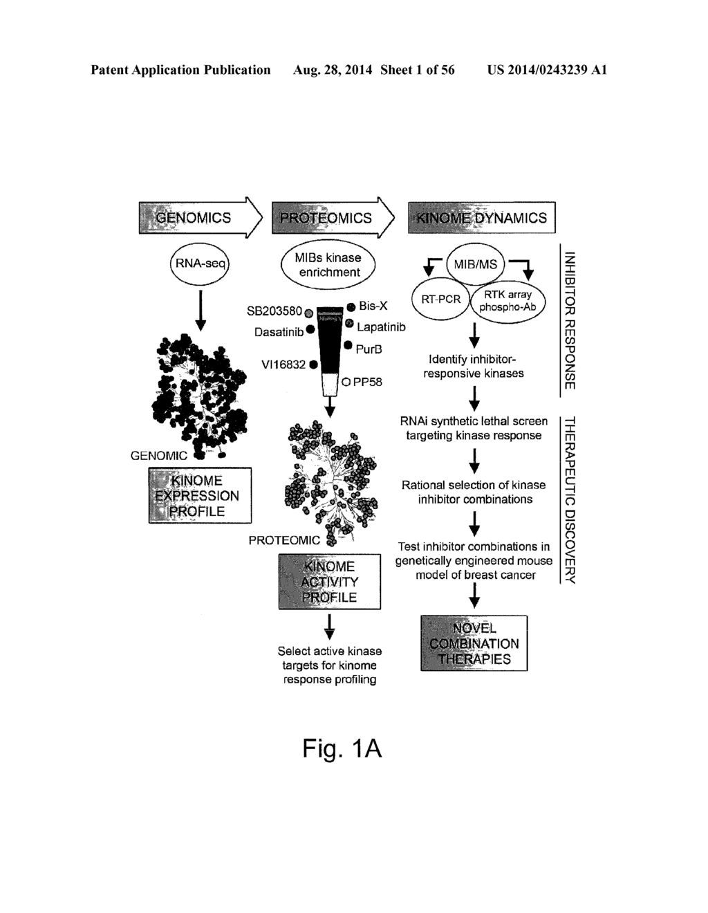 MULTIPLEXED KINASE INHIBITOR BEADS AND USES THEREOF - diagram, schematic, and image 02