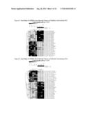 microRNA EXPRESSION PROFILING OF THYROID CANCER diagram and image