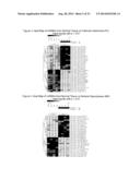 microRNA EXPRESSION PROFILING OF THYROID CANCER diagram and image