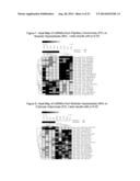 microRNA EXPRESSION PROFILING OF THYROID CANCER diagram and image