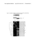 microRNA EXPRESSION PROFILING OF THYROID CANCER diagram and image