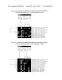 microRNA EXPRESSION PROFILING OF THYROID CANCER diagram and image