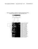 microRNA EXPRESSION PROFILING OF THYROID CANCER diagram and image