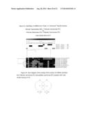 microRNA EXPRESSION PROFILING OF THYROID CANCER diagram and image