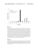 METHOD FOR MEASURING BETA-LACTAM ANTIBIOTICS diagram and image