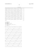 METHOD FOR MEASURING BETA-LACTAM ANTIBIOTICS diagram and image