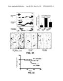 ADENINE DERIVATIVES HAVING IMMUNOMODULATING ANTI-INFLAMMATORY AND     ANALGESIC ACTIVITY diagram and image