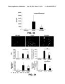 ADENINE DERIVATIVES HAVING IMMUNOMODULATING ANTI-INFLAMMATORY AND     ANALGESIC ACTIVITY diagram and image