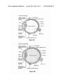 Dithiol Compounds, Derivatives, and Uses Therefor diagram and image