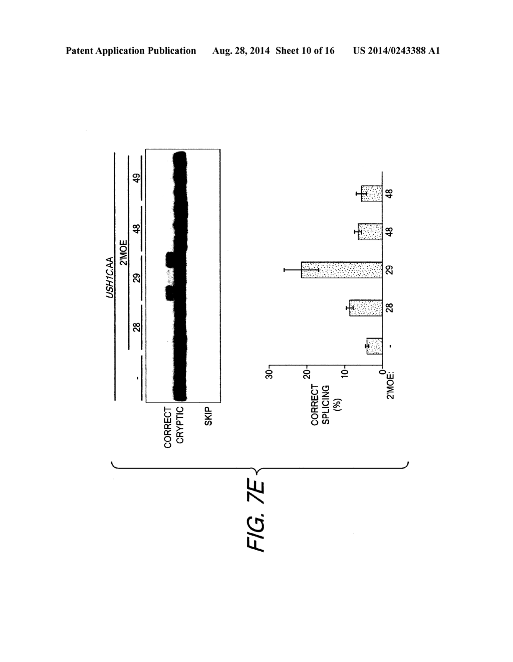 ANTISENSE OLIGONUCLEOTIDES THAT TARGET A CRYPTIC SPLICE SITE IN USH1C AS A     THERAPEUTIC FOR USHER SYNDROME - diagram, schematic, and image 11